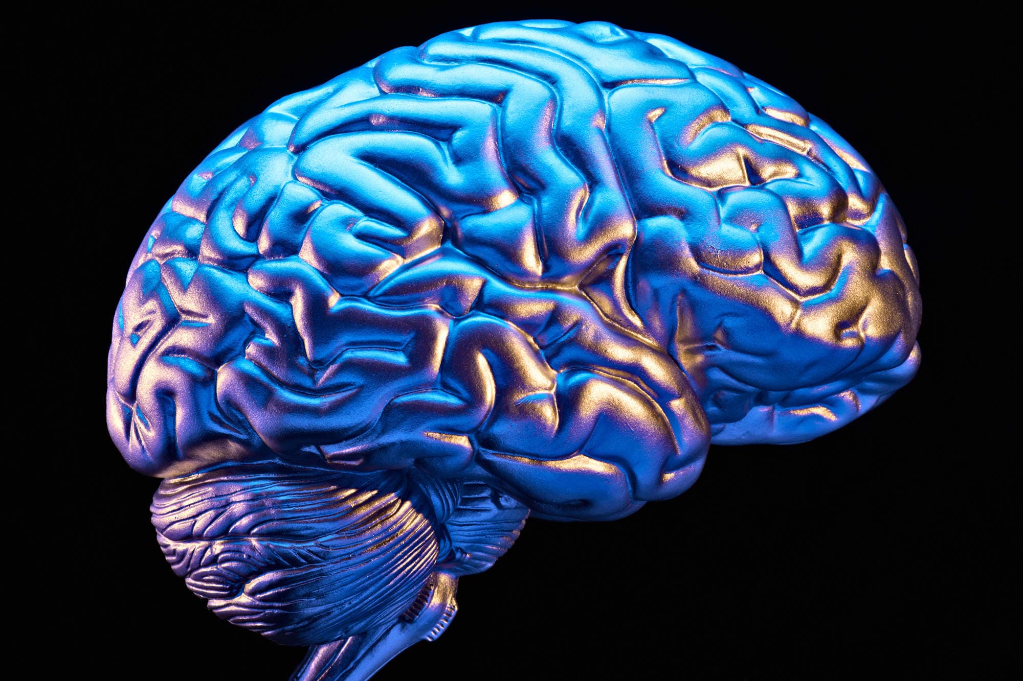 101069492-141104853r