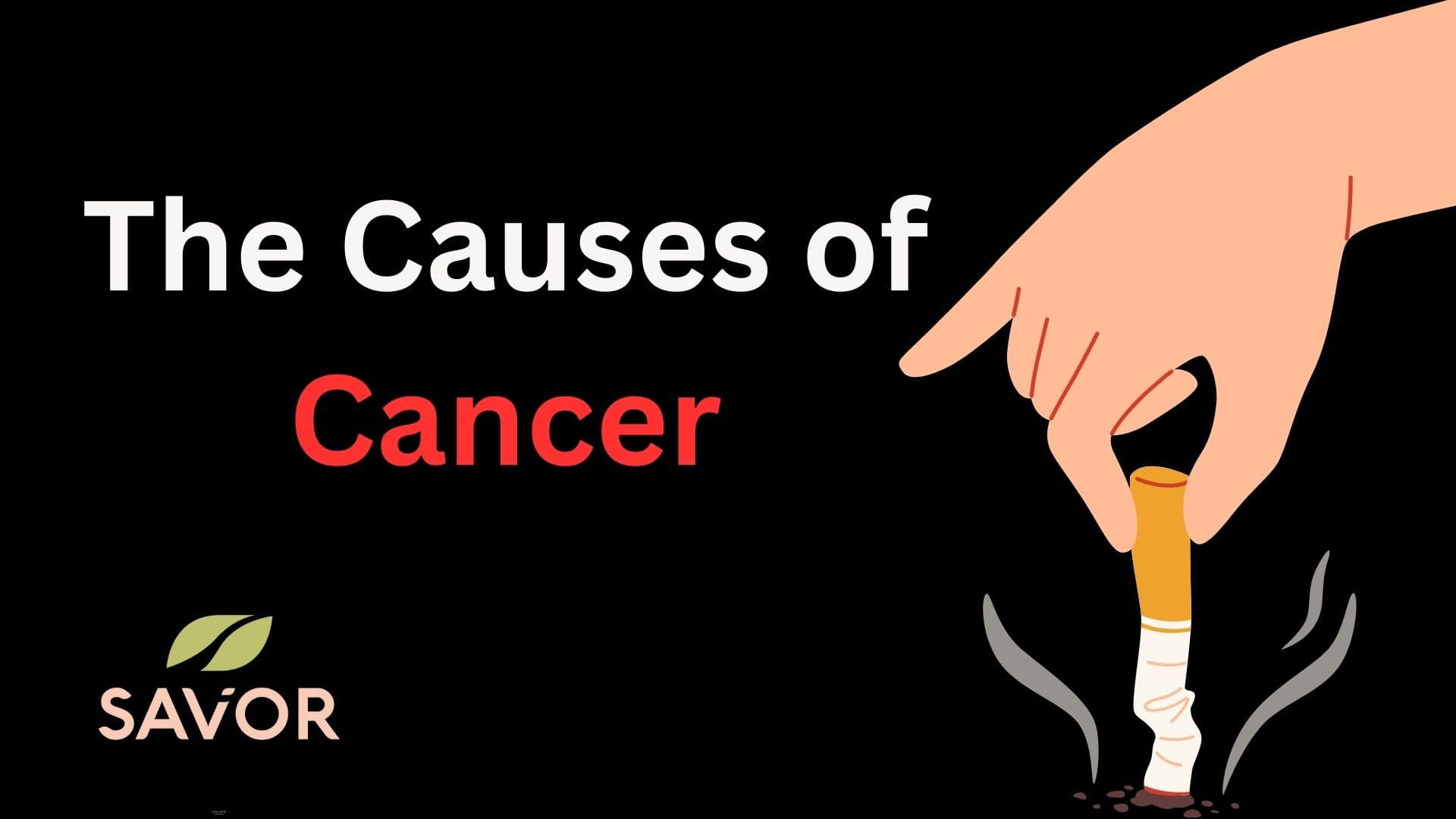 The Causes Of Cancer