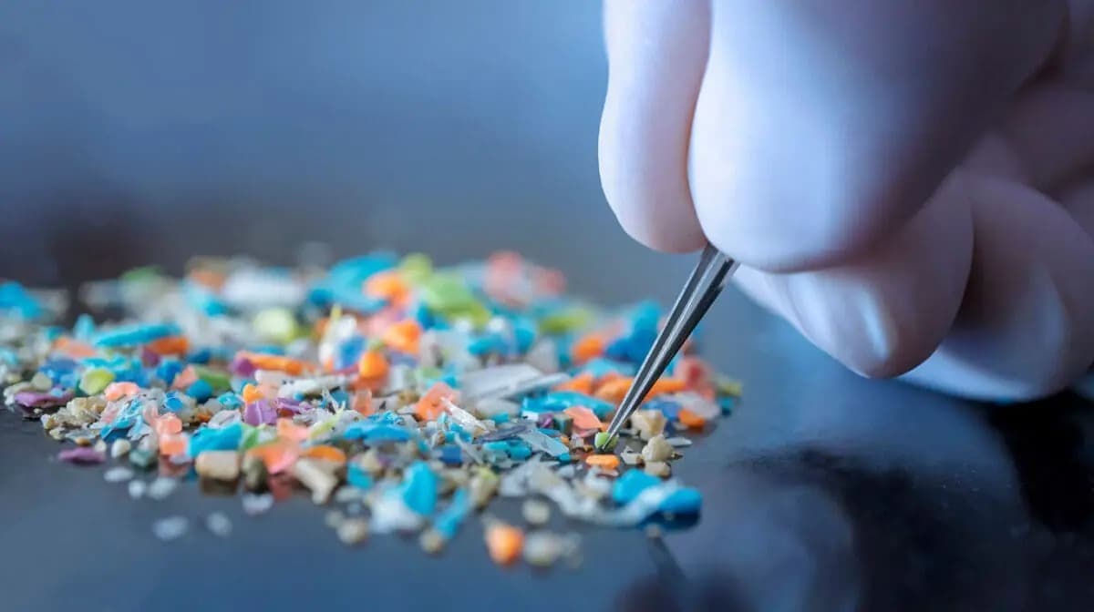 Studying-Microplastics-scaled-1