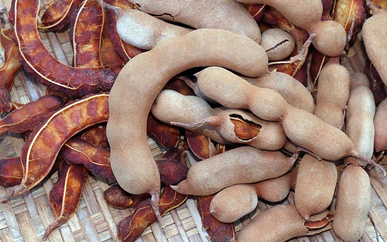 tamarind-peel-shutterstock 1139167793