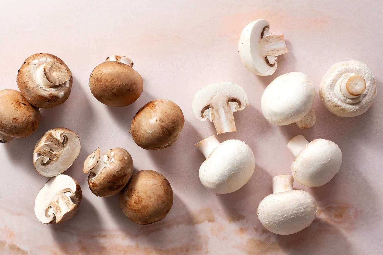 what-are-button-mushrooms-519753