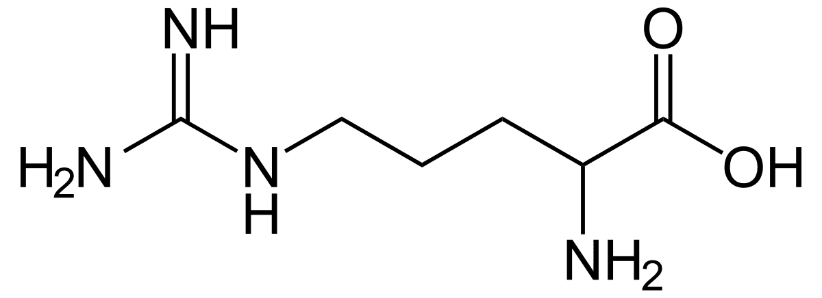 Arginin - Arginine.svg